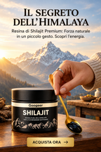 gid://shopify/MediaImage/70781278159197